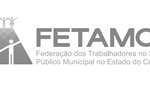 logo-rodape-fetamce